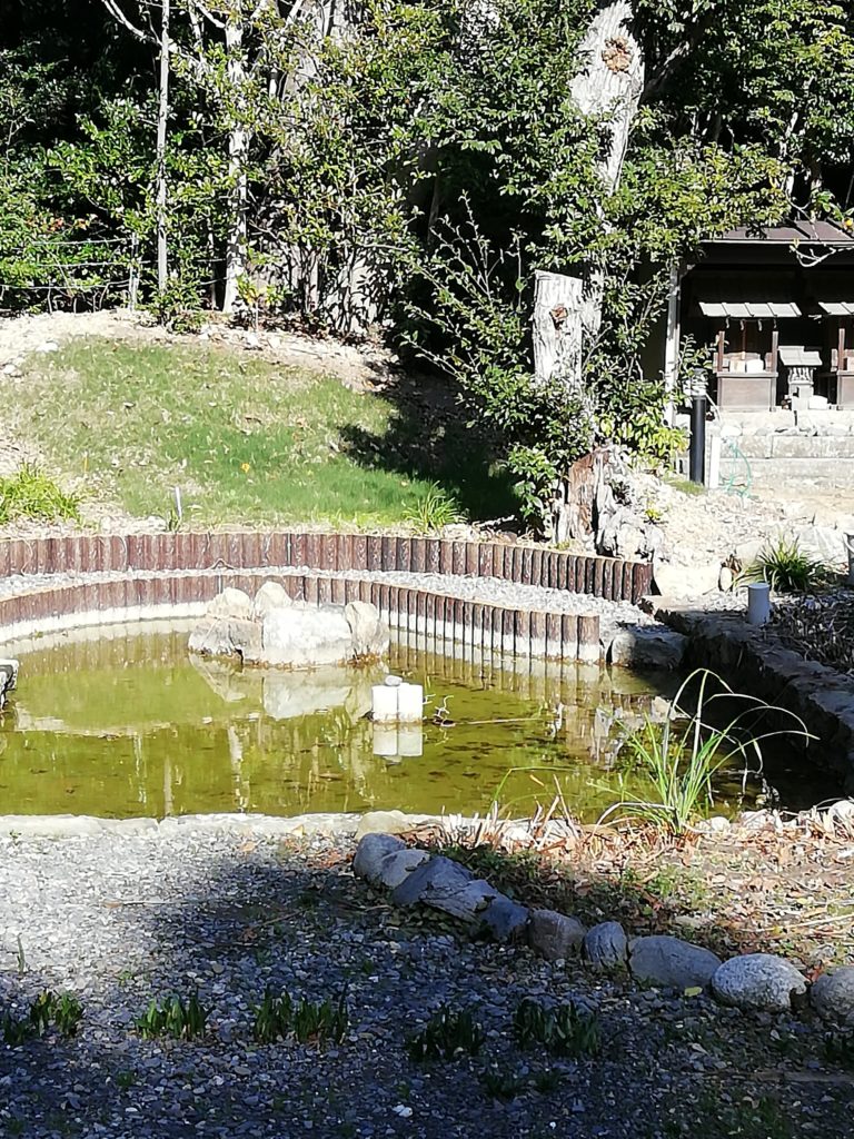 本殿わきの池